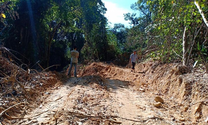Xử nghiêm người tiếp tay cho lâm tặc xẻ núi mở đường xâm hại rừng nguyên sinh ở Huế