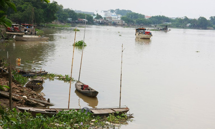 Chất lượng nước sông Đồng Nai không đạt mục đích cấp nước sinh hoạt