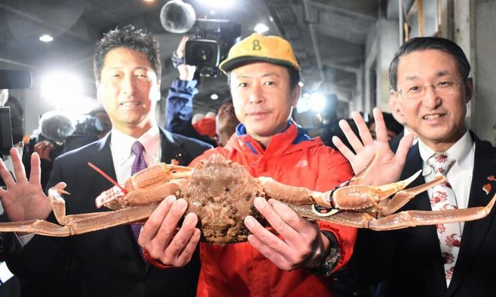 Đắt kỷ lục: Một con cua tuyết giá hơn 1 tỷ đồng