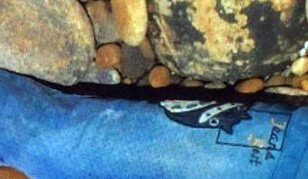 Phá án giết người nhờ chiếc quần bò hình con mèo trên thi thể vô danh