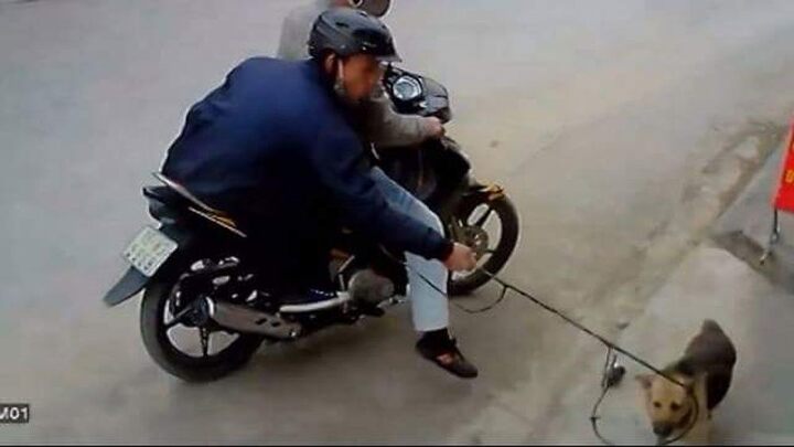 Dân làng đánh chết kẻ trộm chó, hơn 100 người bị công an triệu tập