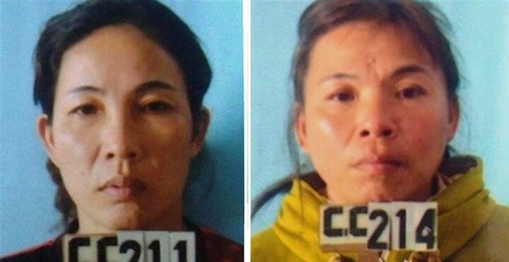 Chặt phá gần 1.000 cây keo của hàng xóm để trả thù