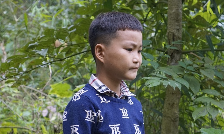 Cậu bé 10 tuổi sống cô độc giữa rừng