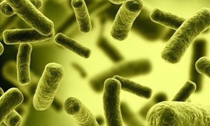3 nhà máy nước ở Nghệ An bị phạt vì nước nhiễm khuẩn Coliform