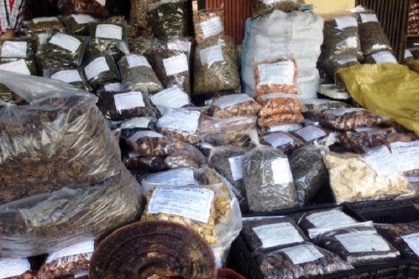 Khởi tố vụ án buôn lậu dược liệu 'đội lốt' hoa quả khô