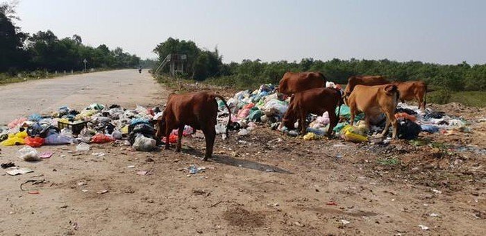 Đê chống lũ ở Hà Tĩnh thành bãi rác, mùi hôi thối nồng nặc