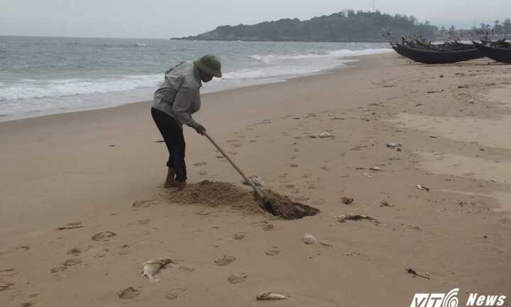 Công an truy trách nhiệm sở, ngành Hà Tĩnh vụ Formosa xả độc