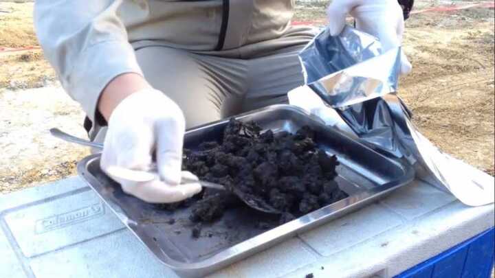 Giám đốc Sở TN&MT Hà Tĩnh: 'Anh em áp lực nên hoảng hốt lấy mẫu Formosa thiếu khách quan'