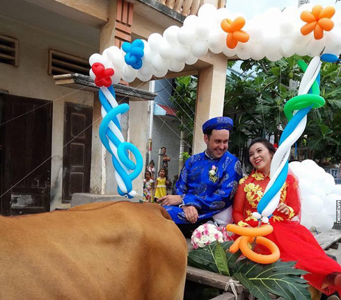 'Phát sốt' với màn cưỡi xe bò đi rước dâu của chú rể người Thụy Điển