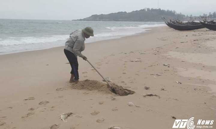 Sự cố môi trường biển miền Trung: Quá hạn 15 ngày vẫn chưa có kết quả kiểm điểm