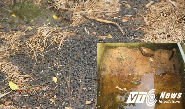 Thông tin mới nhất vụ đổ trộm chất thải Formosa ở Thiên Cầm