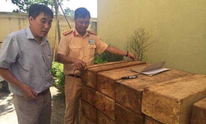 CSGT Hà Nội bắt giữ xe ô tô 7 chỗ vận chuyển gỗ pơ mu trong đêm