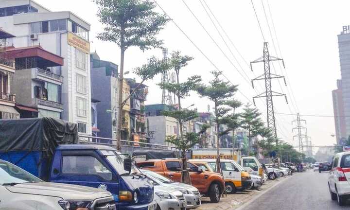 Cây xanh 'mọc' dưới lưới điện cao thế ở Hà Nội: Người dân lo lắng mất an toàn