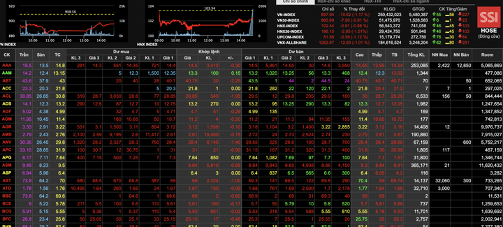Chứng khoán giảm sâu, 'ngôi sao' của thị trường thuộc về ROS