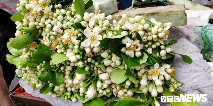 Gánh hàng rong bán hoa bưởi, kiếm vài triệu đồng/ngày