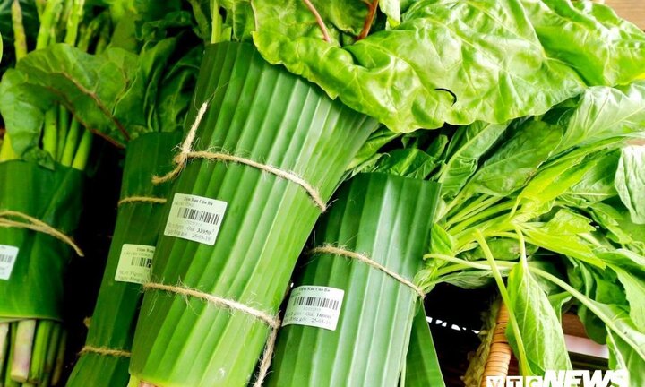 Các doanh nghiệp bán lẻ hào hứng thay thế túi ni lông bằng lá chuối, túi tự hủy