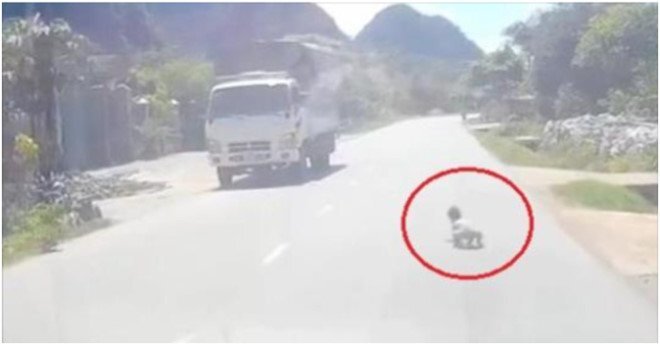 Bố ngủ say, con bò lổm ngổm trên quốc lộ giữa trưa nắng