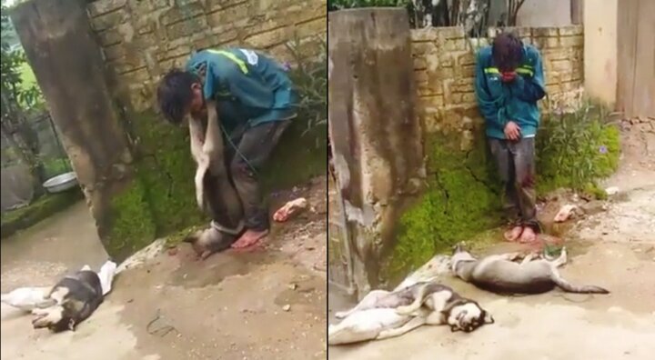 Dân vây bắt, treo xác chó lên cổ tên trộm ở Thanh Hoá