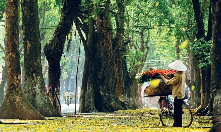 Thời tiết ngày 3/10: Miền Bắc hanh khô, Trung Bộ tiếp mưa lớn