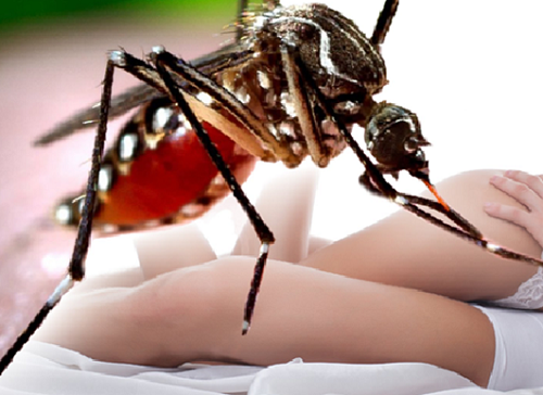Lần đầu phát hiện ca nhiễm virus Zika do quan hệ tình dục
