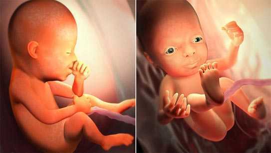 Những điều kỳ diệu thai nhi biết làm ngay từ khi ở trong bụng mẹ