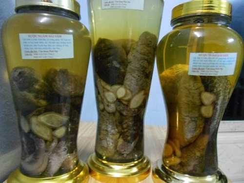 Giải mã công dụng của 'thần dược' vú nàng khiến đàn ông săn lùng