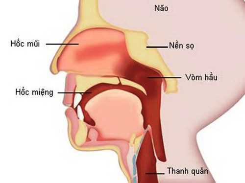 Làm sao để nhận biết sớm các loại ung thư đầu cổ mà nhiều người mắc phải?