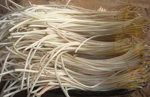 Bí quyết sống đến trăm tuổi của người xưa vẫn còn giá trị