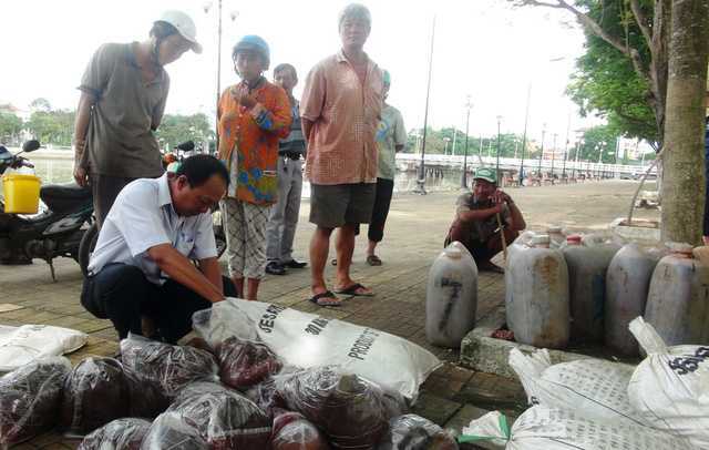 Bắt giữ 700kg nội tạng động vật chuẩn bị 'đầu độc' người dùng