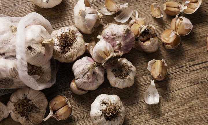 Choáng: Tỏi có thể giết chết hết tinh binh