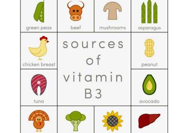 Những sự thật đáng đọc về vitamin B3