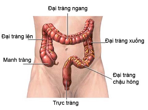 Bác sỹ bệnh viện K tư vấn 6 điều giúp bạn tránh được ung thư đại trực tràng
