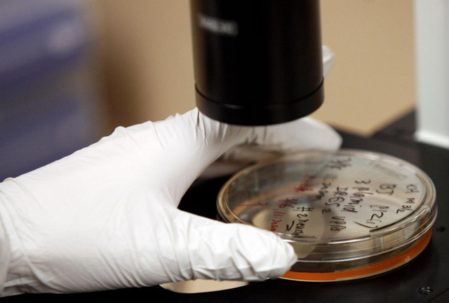 Công bố khoa học mới: Tiêm tế bào gốc để chữa rối loạn cương dương