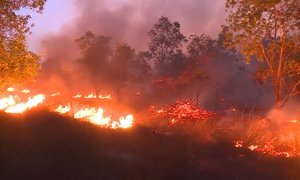 Video: Hơn 15 ha rừng phòng hộ ở Quảng Bình cháy suốt 10 tiếng