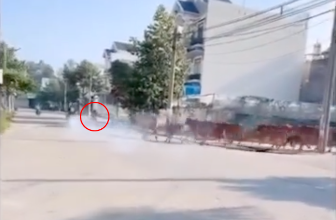 Clip: 'Quái xế' nẹt pô ầm ĩ, liền bị cả đàn bò truy đuổi