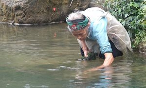 Cụ bà đi bộ 3km mỗi ngày để lấy rêu đá ở Hà Giang