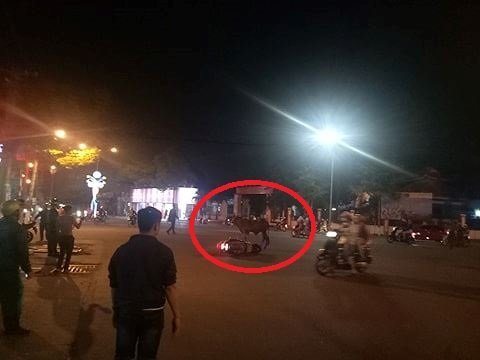 Clip: Bò ‘điên’ đại náo trên phố, húc nhiều người bị thương ở Bình Dương