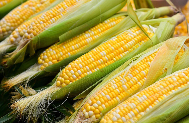 Luộc ngô trước hay sau khi lột vỏ sẽ ngon hơn?