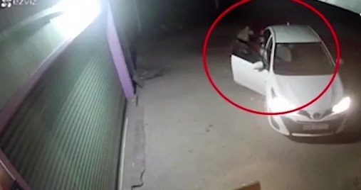 Clip: Cẩu tặc đi ô tô, dùng súng điện trộm chó trong vài giây