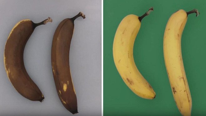 Video: Công nghệ bảo quản thực phẩm hàng chục ngày không cần làm lạnh