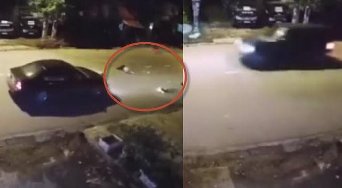 Clip: Kinh hãi ô tô lao nhanh, húc văng 3 mẹ con đang sang đường