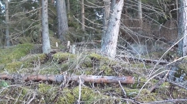 Trái Đất phập phồng như 'quái vật' đang thở phì phò từ lòng đất