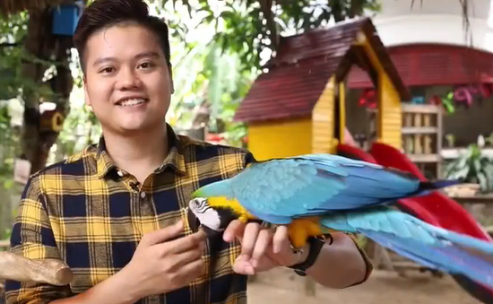 Video: Chàng trai sở hữu hơn 20 loài vẹt trị giá nửa tỷ đồng