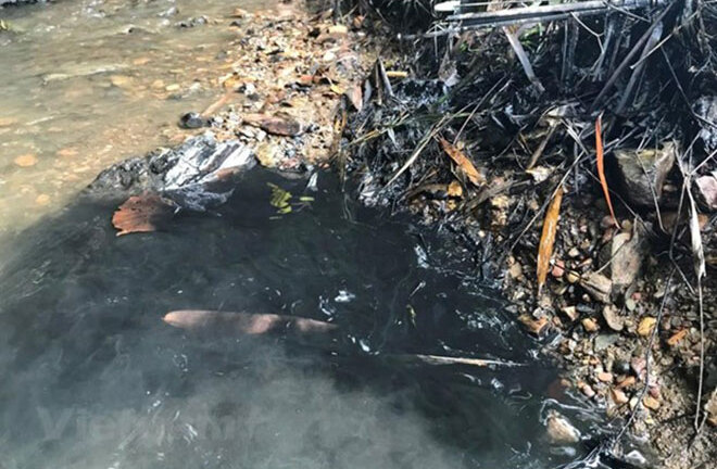 Video: Chất Styren trong nước ảnh hưởng đến sức khỏe thế nào?