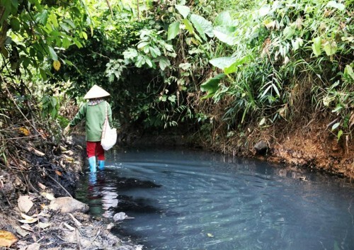Ngoài chất Styren, nước sông Đà còn có chất độc khác?