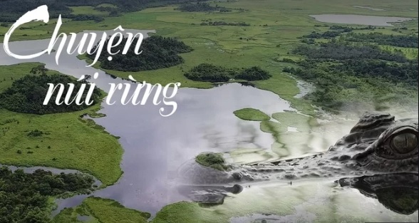 Video: Khám phá đầm lầy cá sấu xiêm trong rừng Nam Cát Tiên