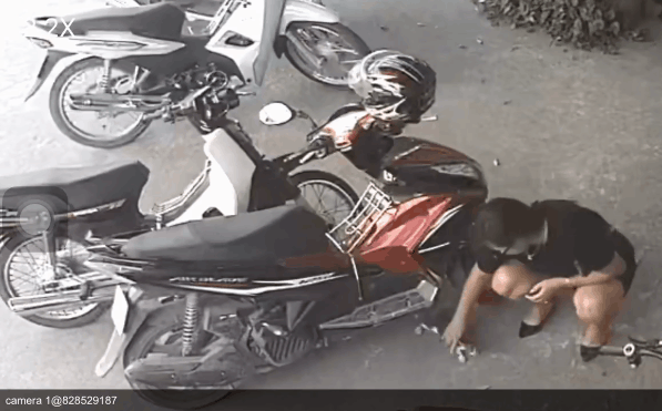 Clip: Người phụ nữ bắt trộm mèo rồi giấu trong váy tẩu thoát