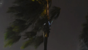 Video: Gió quần thảo, đường vắng tanh ở tâm bão Phú Yên