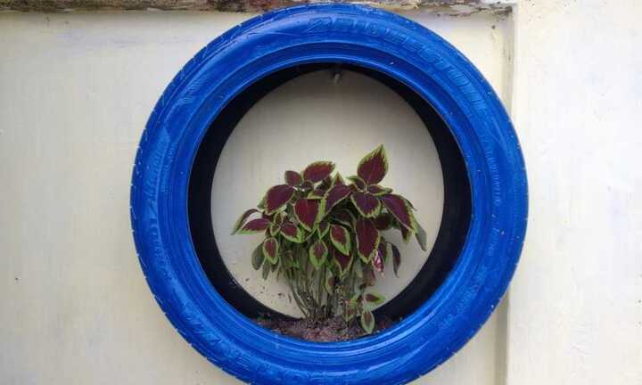 Sinh viên Hà thành biến bãi rác thành vườn hoa đẹp ngỡ ngàng