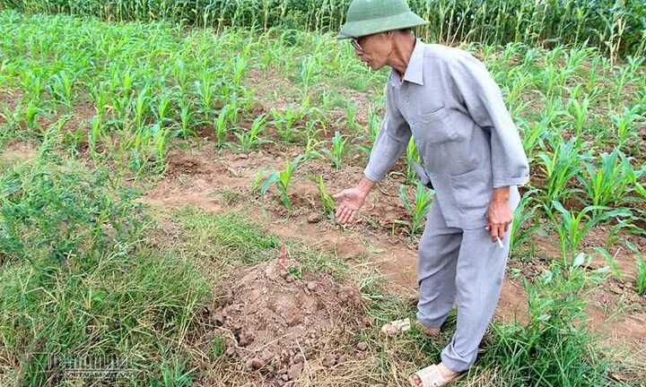 Ngã ngửa phát hiện những ngôi mộ từ 'trên trời rơi xuống'